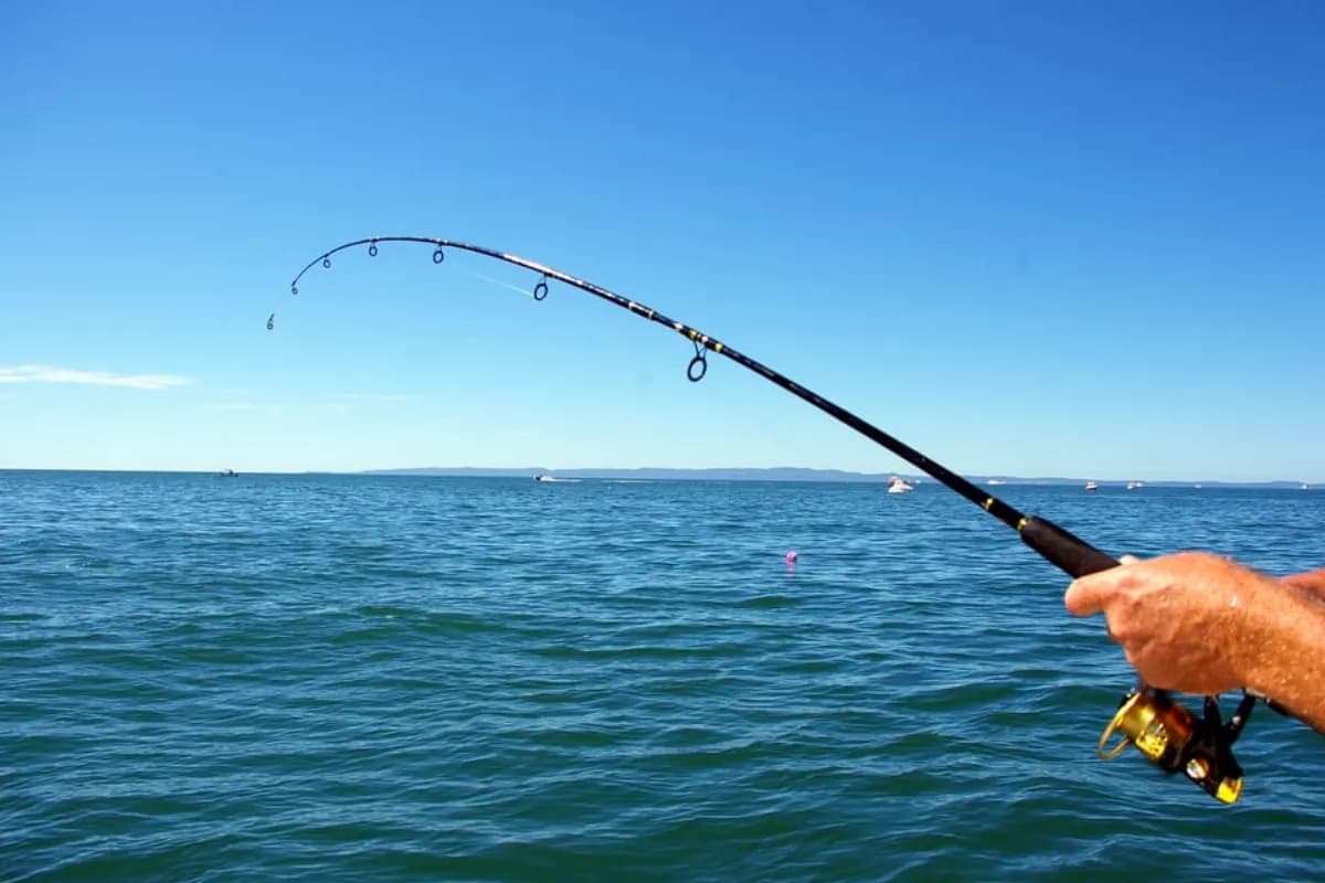 Fishing Trips