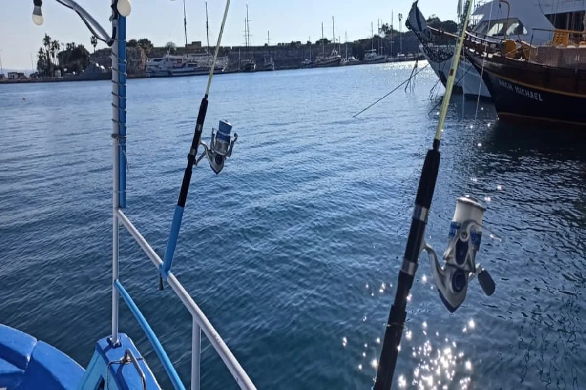 activity image