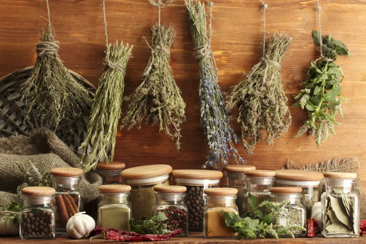 Herbs and Spices