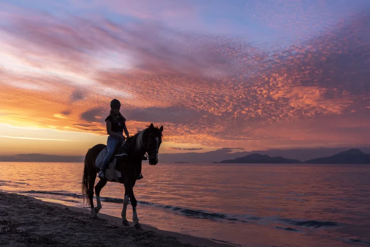 Horseback Riding