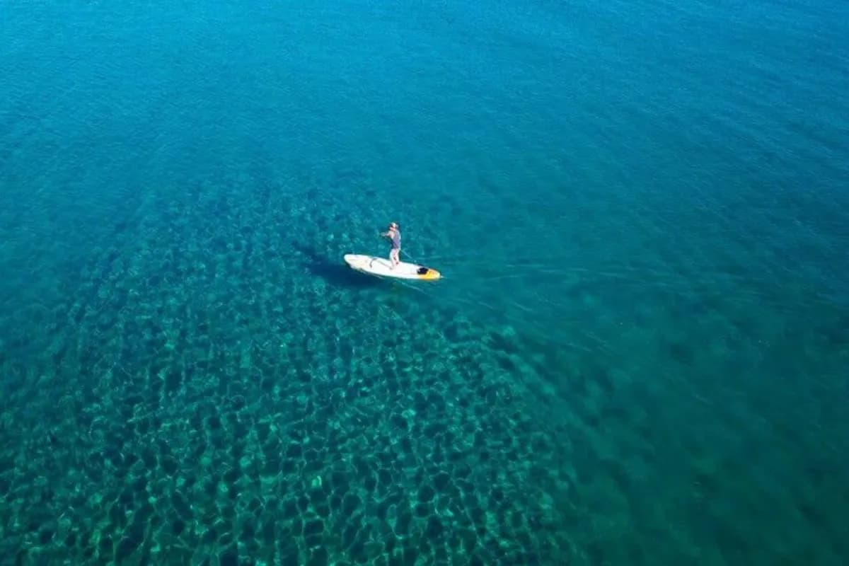 Kayaking and Paddleboarding