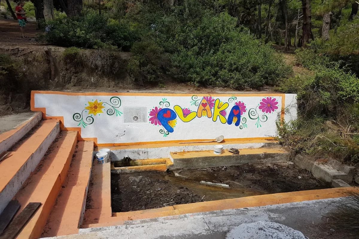 activity image