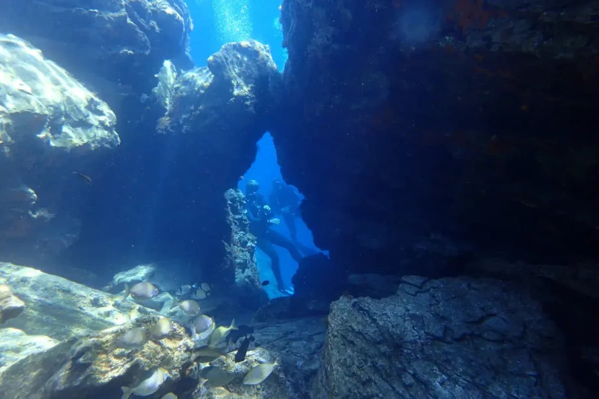 Snorkeling and Diving
