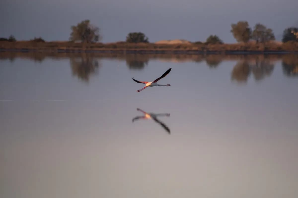 Tigaki Salt Lake