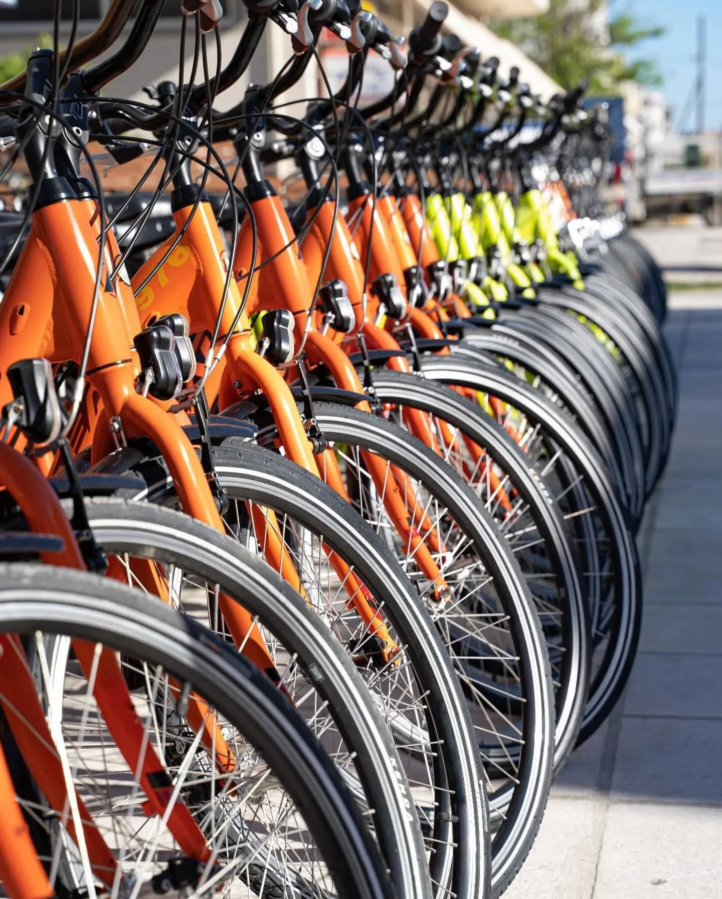 Bikes available for rent near Koasis in Kos Town