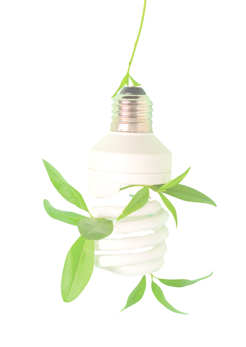 sustainability