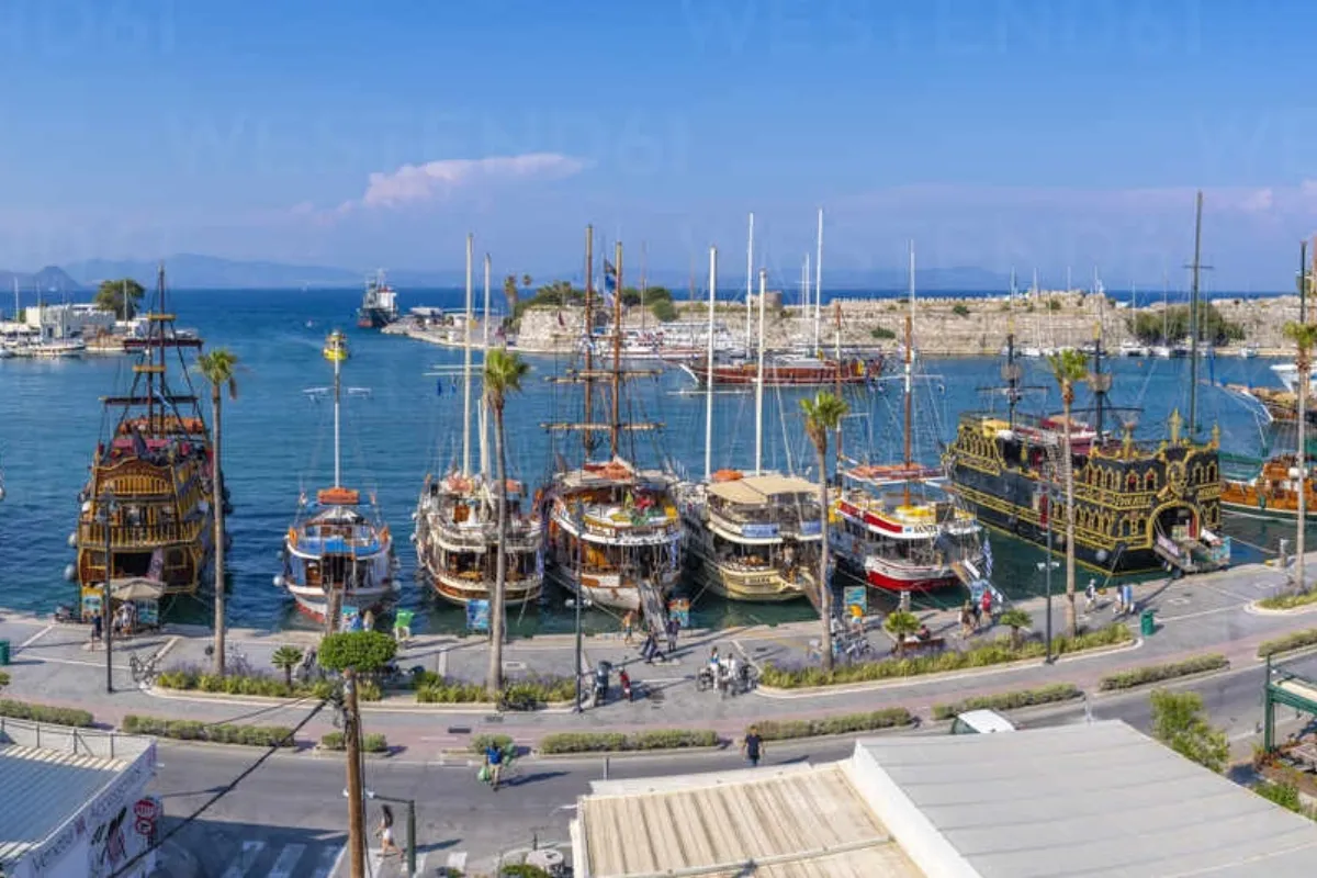 Boat Tours from the Harbor