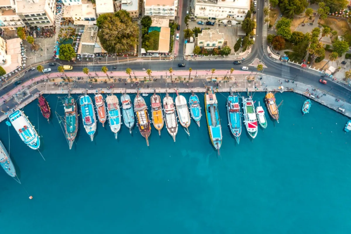 Boat Tours from the Harbor