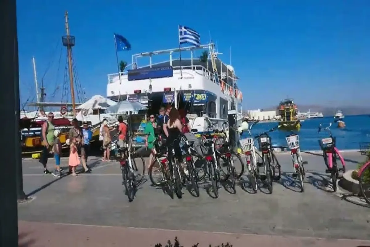 Boat Tours from the Harbor