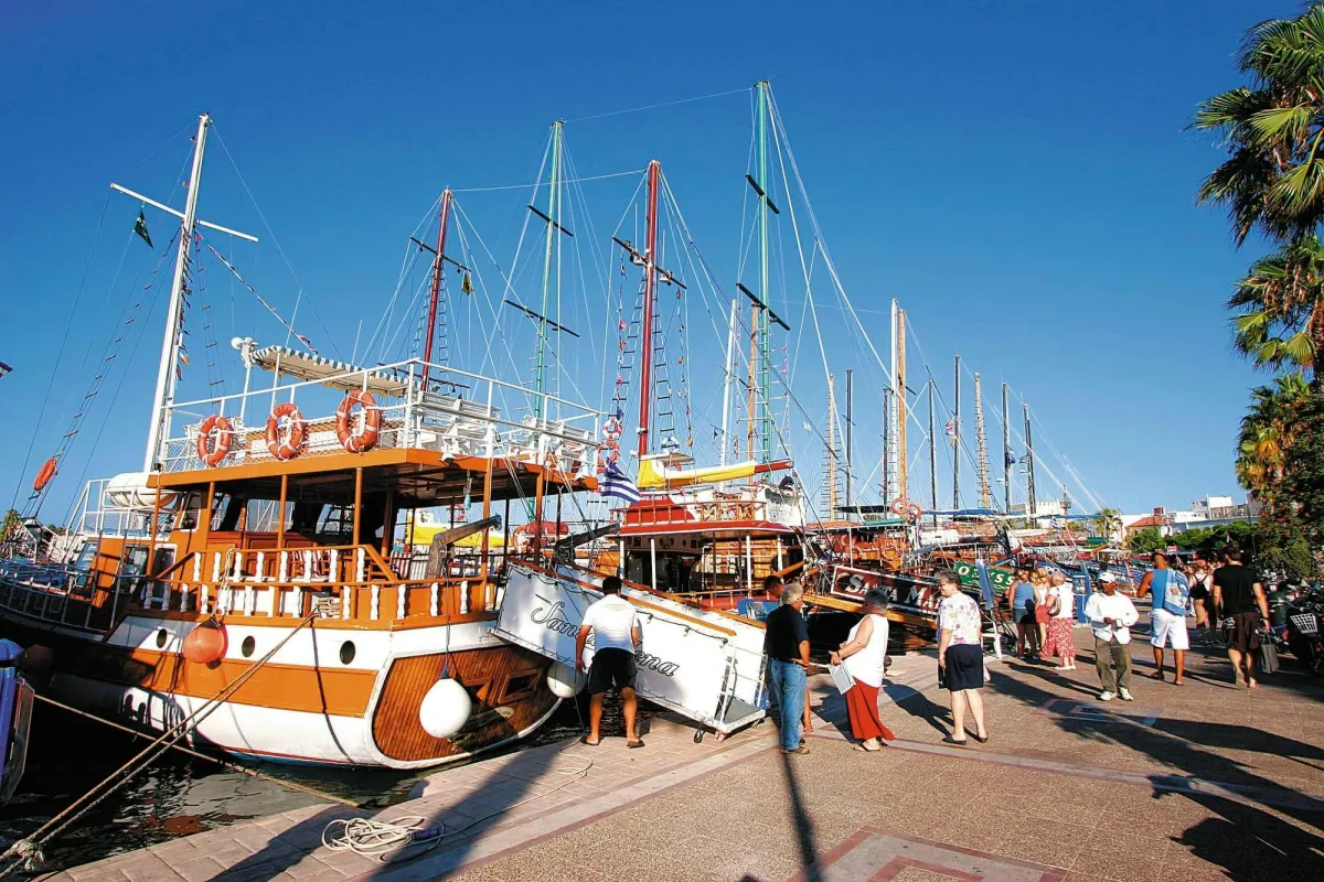 Boat Tours from the Harbor