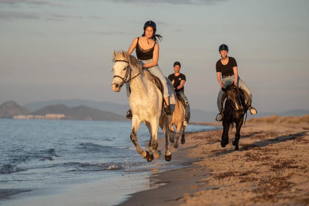 Horseback Riding