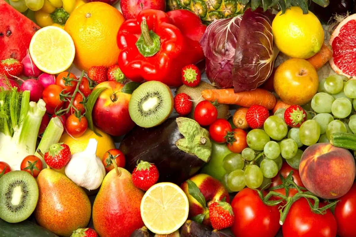 Visit Local Farms