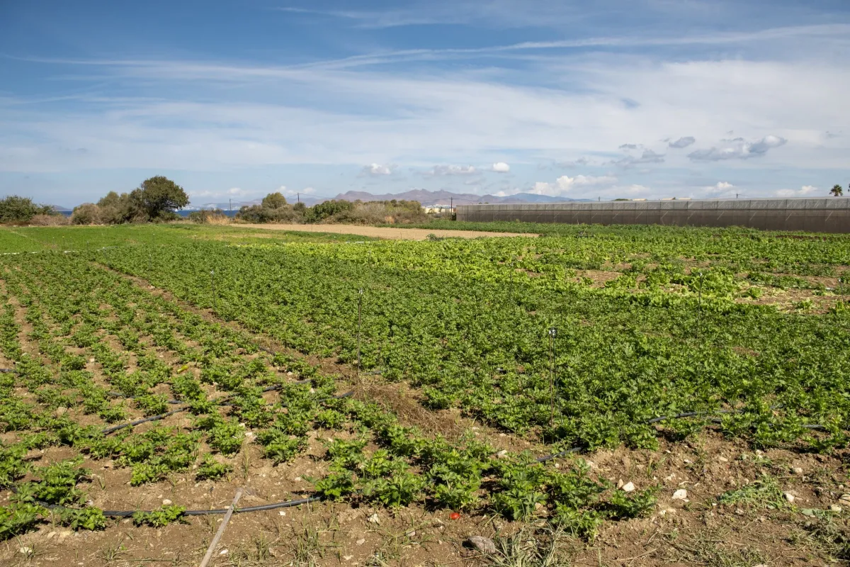 Visit Local Farms