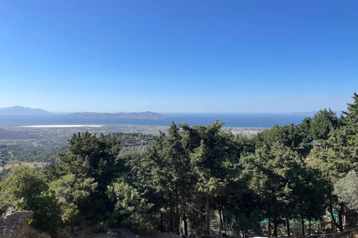 Plaka Forest