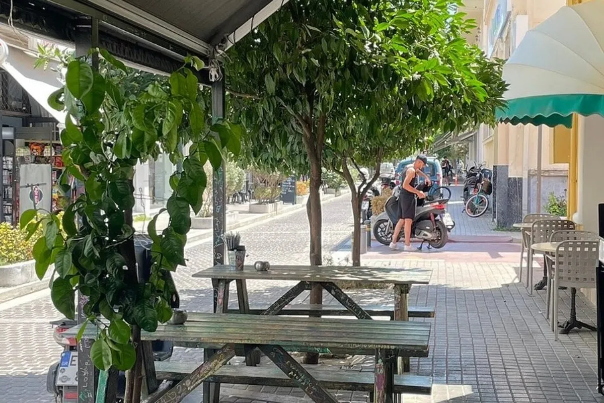 Street Food Delights