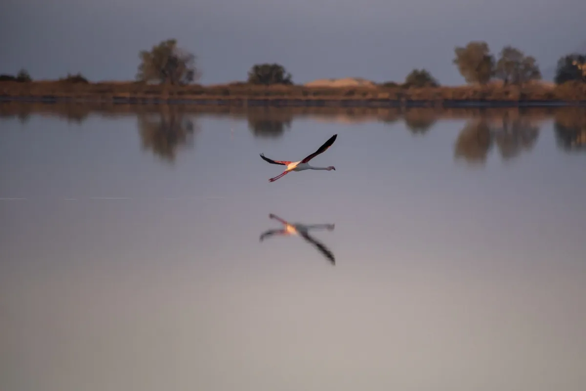 Tigaki Salt Lake