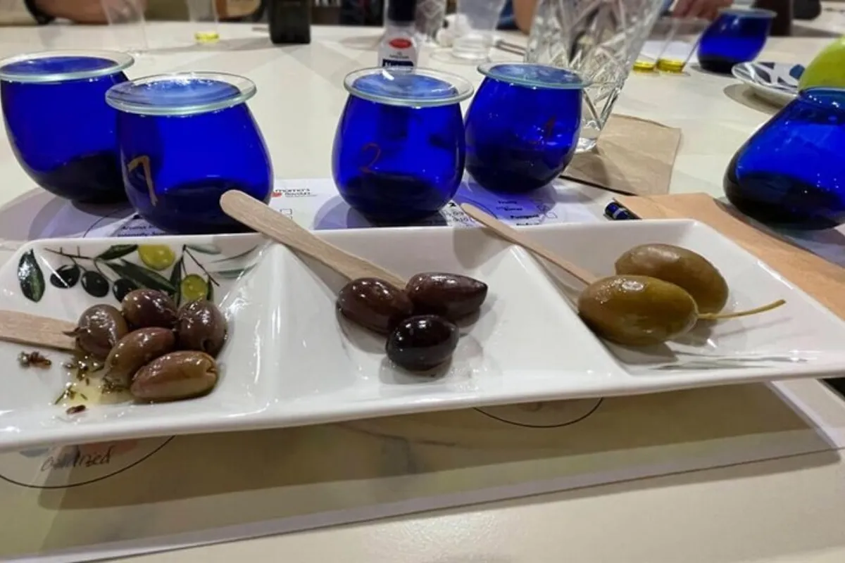 Wine & Olive Tasting